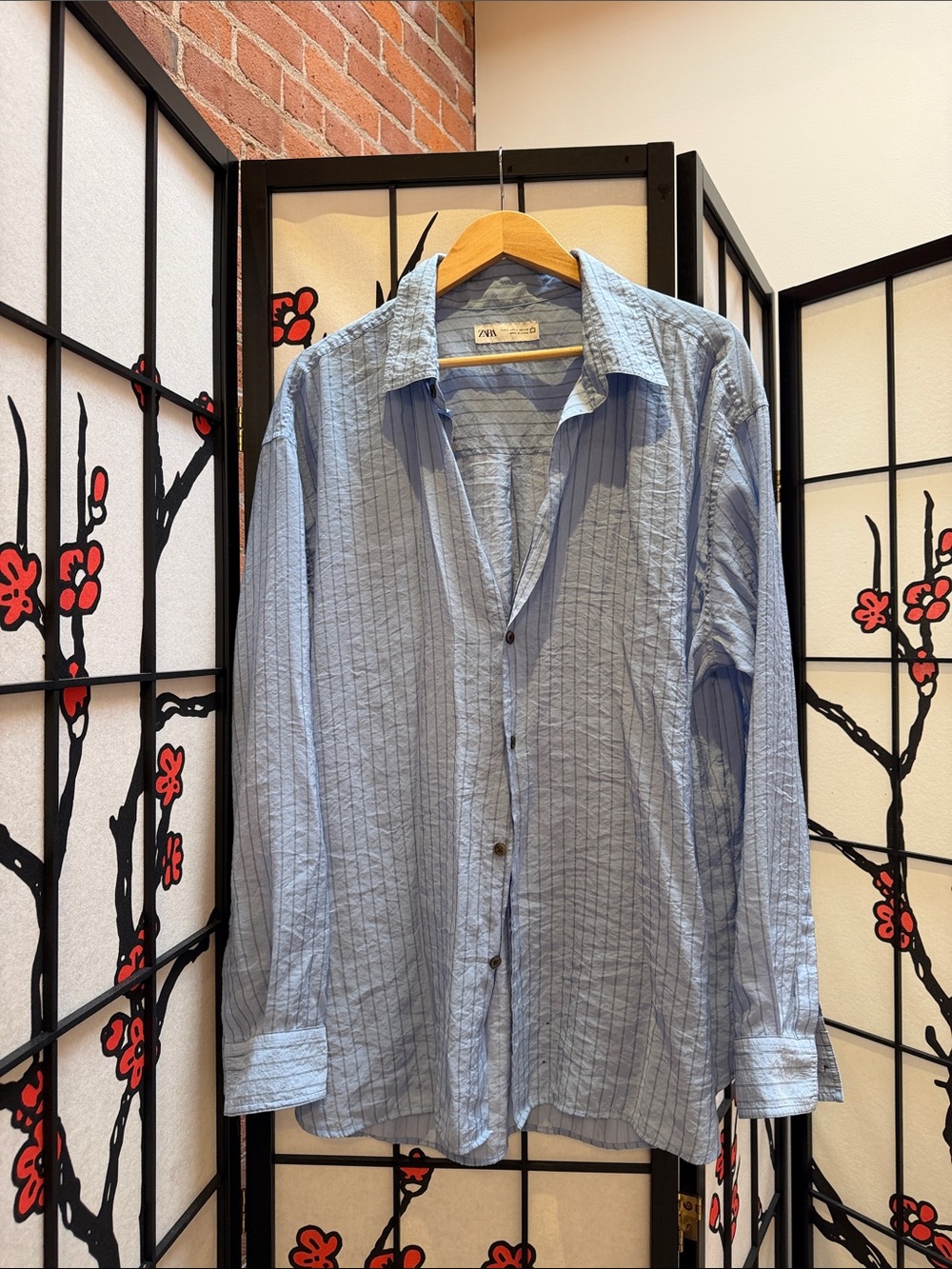 Zara Men's Sky Blue Vertical-Stripe Button-Down Shirt